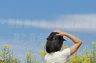 微密圈 – 黑丝是必备，俏妞t的图包居然免费？有点让我惊讶！