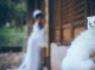微密圈 – 好H好女杀手的花园：一部让人百看不厌的写真合集，谁能抵挡？