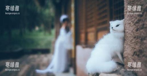 好H好女杀手 微密圈 - 好H好女杀手的花园:一部让人百看不厌的写真合集,谁能抵挡?