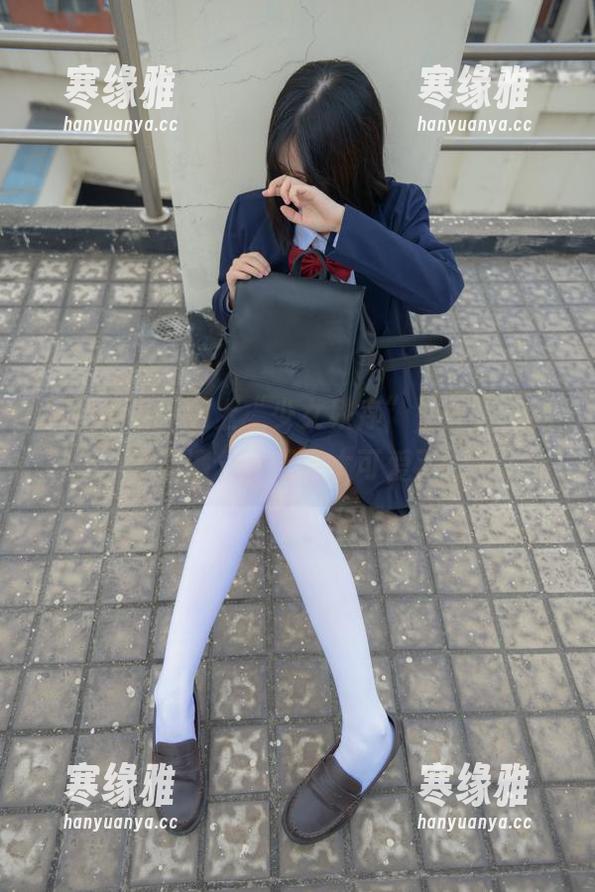 当高清猫猫遇上“少女秩序”，图包里的逗趣满分，无奈太可爱了！